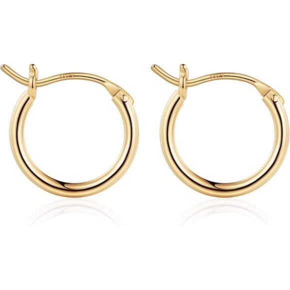 14K Gold Hoop Earrings for Women - Hypoallergenic - Picture 1 of 7